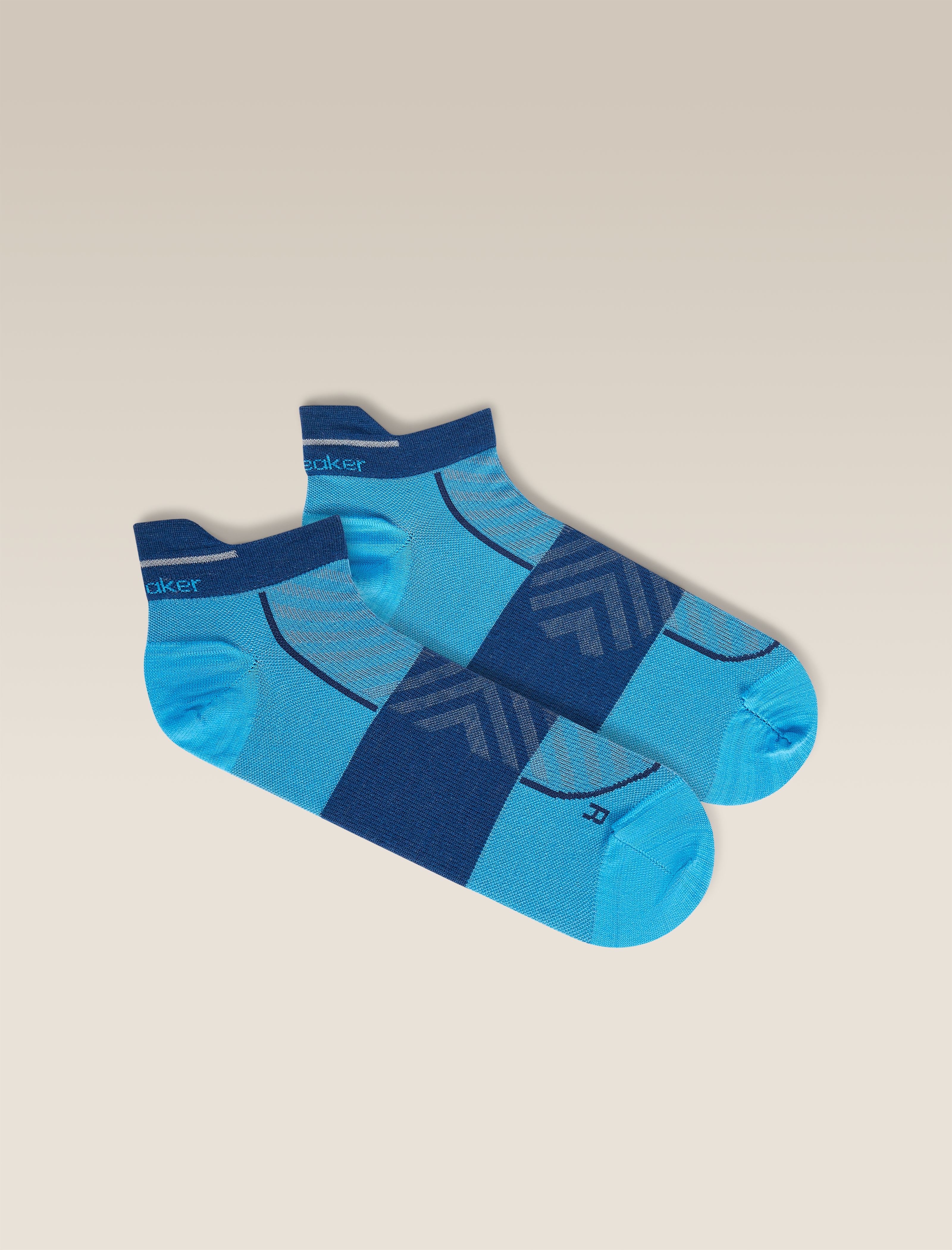 Men’s Merino Blend Run+ Ultralight Micro