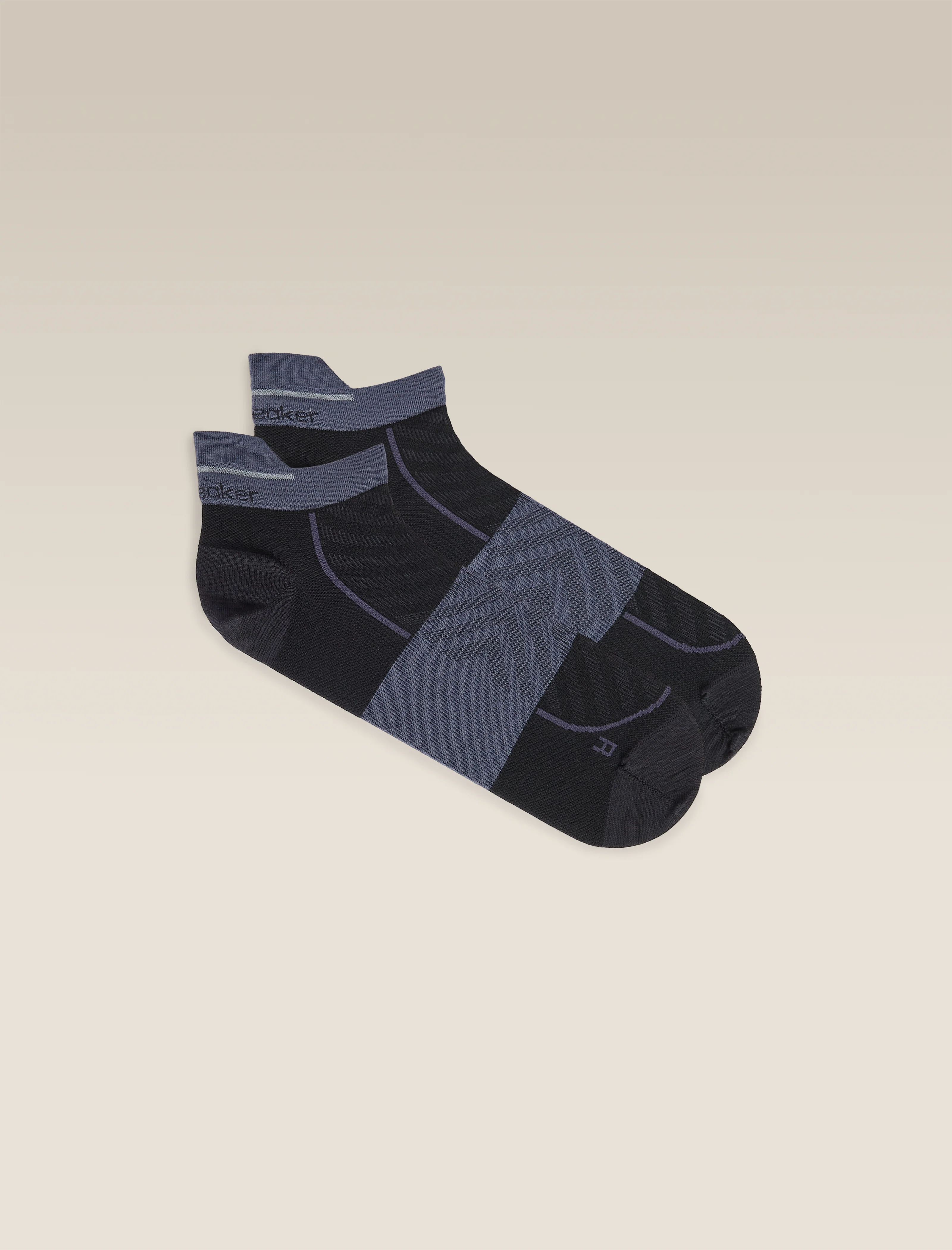 Men’s Merino Blend Run+ Ultralight Micro Socks
