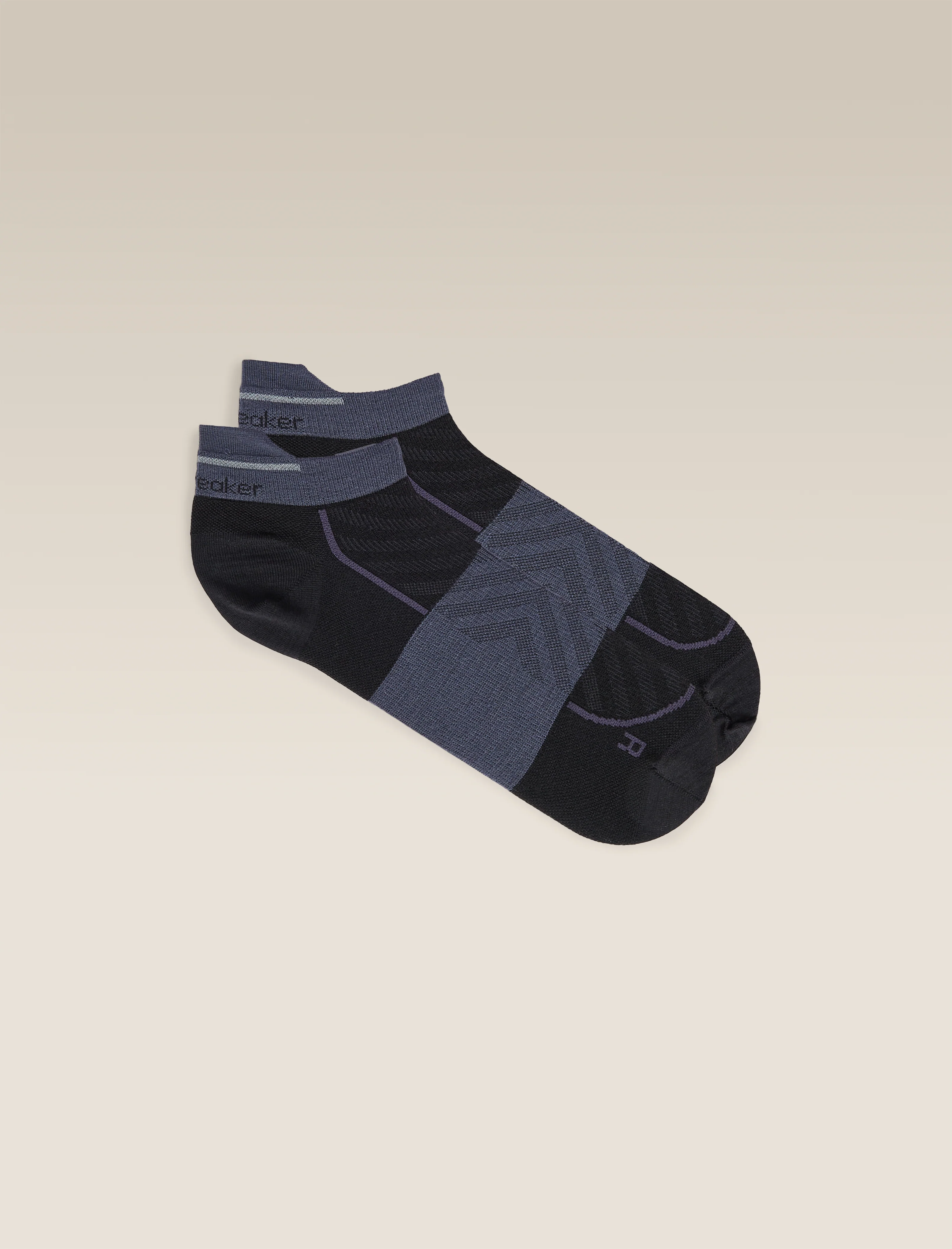 Women’s Merino Run+ Ultralight Micro Socks